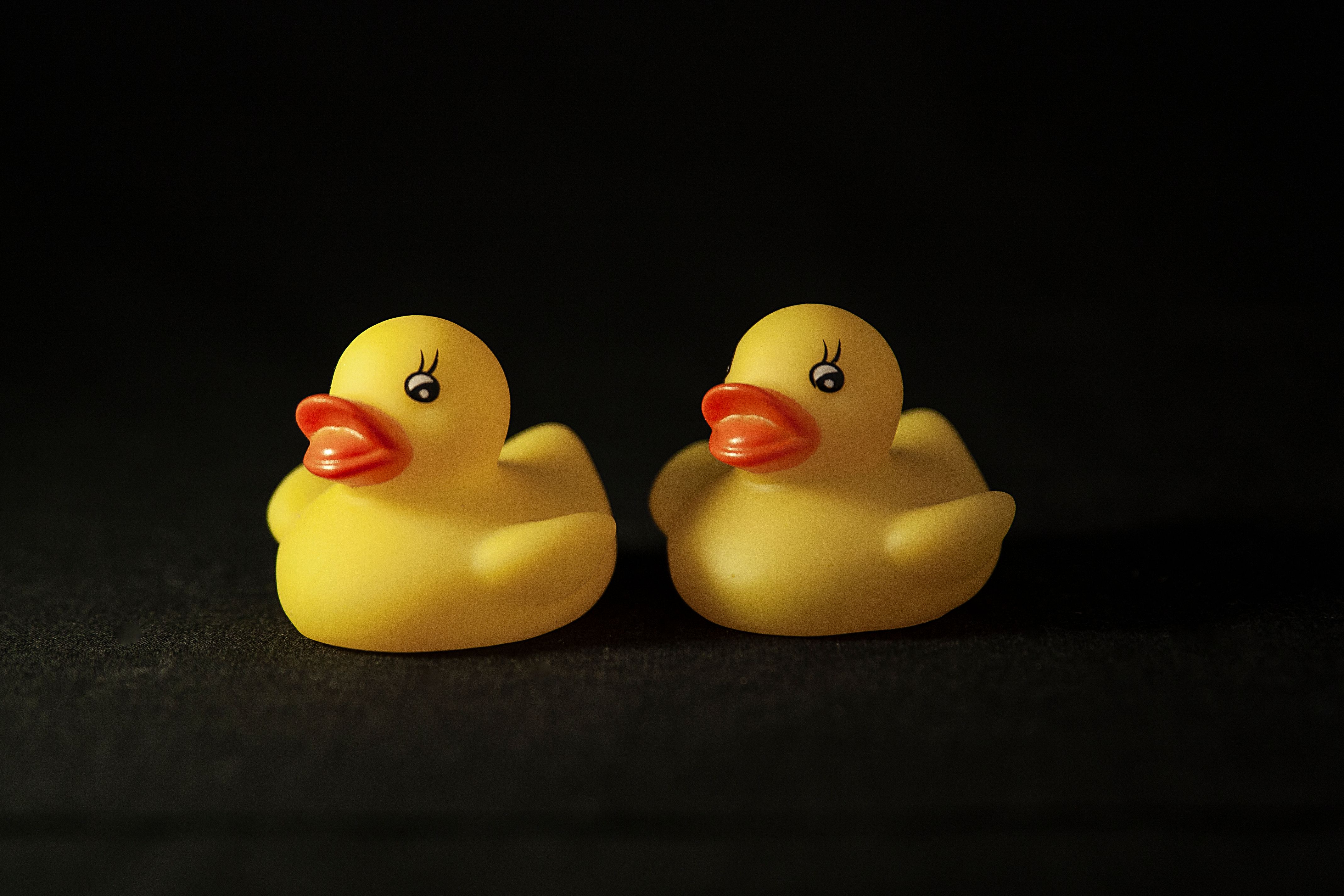 Two rubber duckies | Source: Pexels