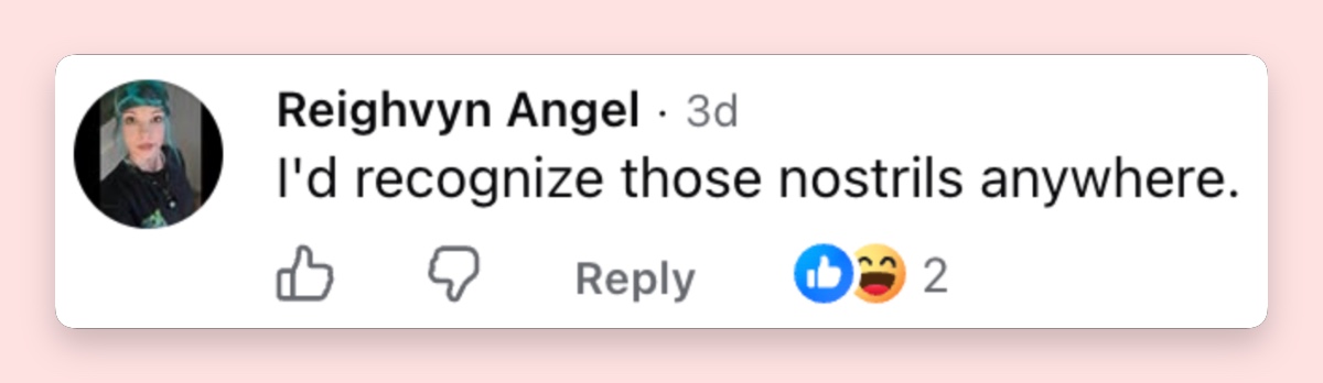 he joking response pushed the same idea even further: while hair, facial hair and clothing had changed repeatedly over four decades, the shape of Nelson’s nose had remained an unusually reliable giveaway. | Source: Facebook