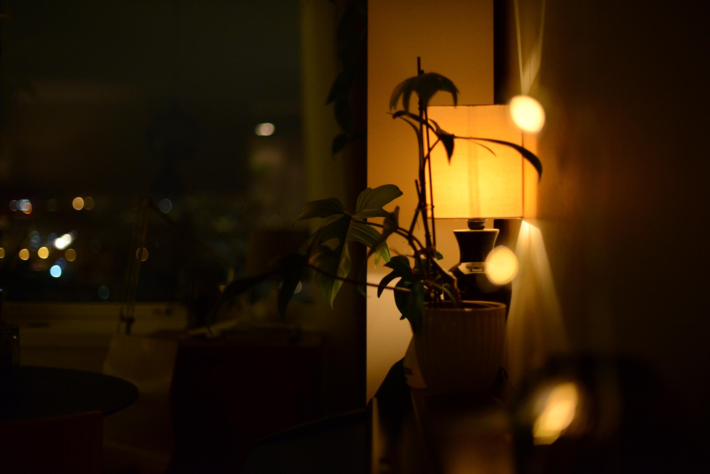 Cozy corner of a living room at night | Source: Getty Images